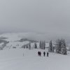 20140216_403